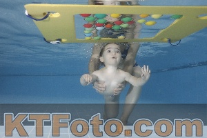 Photo 4207563