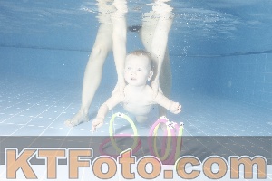 Photo 4207655