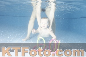 Photo 4207656