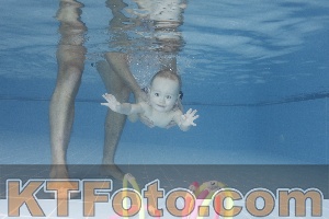 Photo 4207662