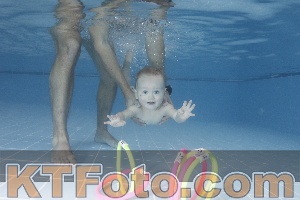 Photo 4207663