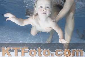 Photo 4207674