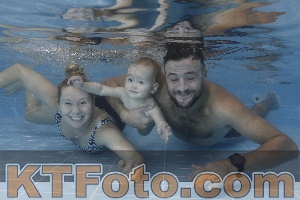 Photo 4207710