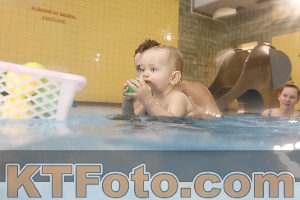 Photo 4207726
