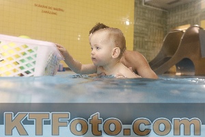 Photo 4207727