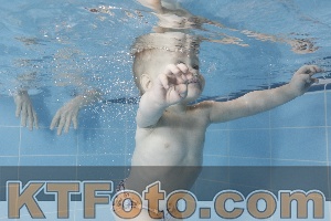 Photo 4207775