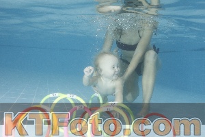 Photo 4207898