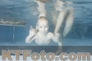 Photo 4207909