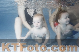 Photo 4208038