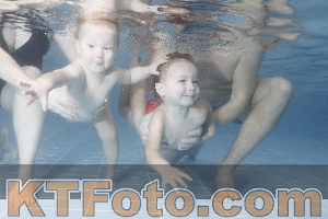 Photo 4208044