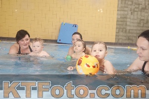 Photo 4208063