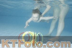 Photo 4208097