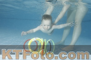 Photo 4208098