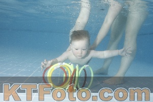 Photo 4208099