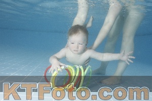 Photo 4208100