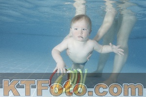 Photo 4208101