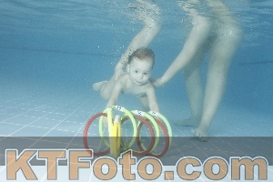 Photo 4208102