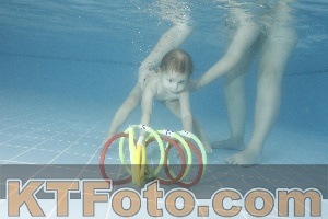 Photo 4208103