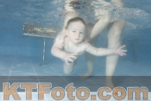 Photo 4208104