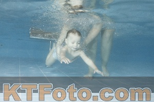 Photo 4208107