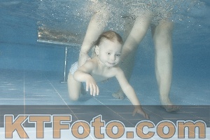 Photo 4208108
