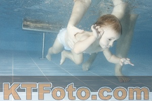 Photo 4208109