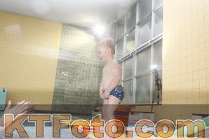Photo 4208156