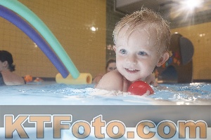 Photo 4208239