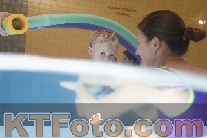 Photo 4208247