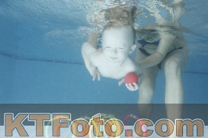 Photo 4208253