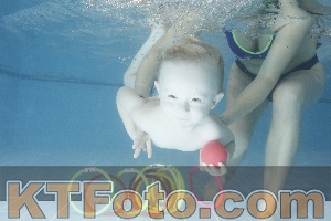 Photo 4208254