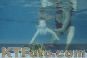 Photo 4208255