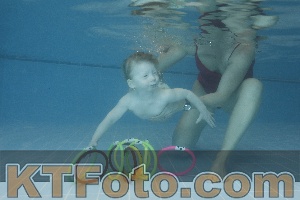 Photo 4208256