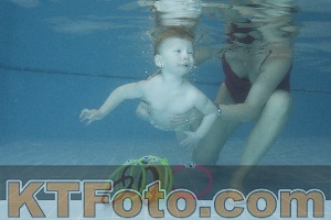 Photo 4208257