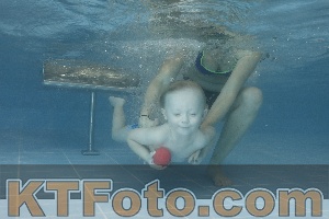 Photo 4208264