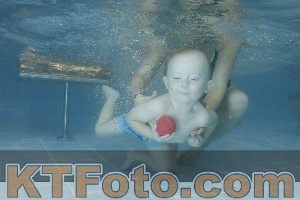 Photo 4208265