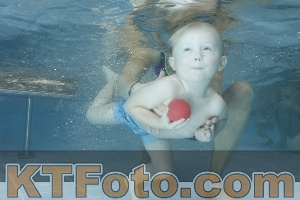 Photo 4208266