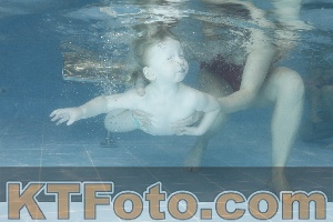 Photo 4208270