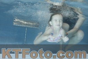Photo 4208272