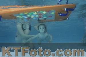 Photo 4208341