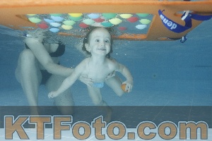 Photo 4208345