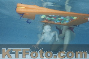 Photo 4208352