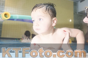 Photo 4208480