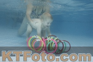 Photo 4208493