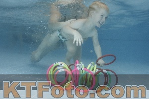Photo 4208494
