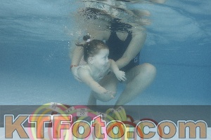 Photo 4208496