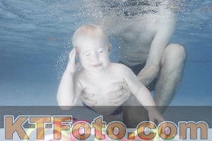Photo 4208499
