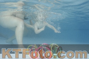 Photo 4208500