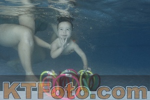 Photo 4208501