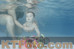 Photo 4208502